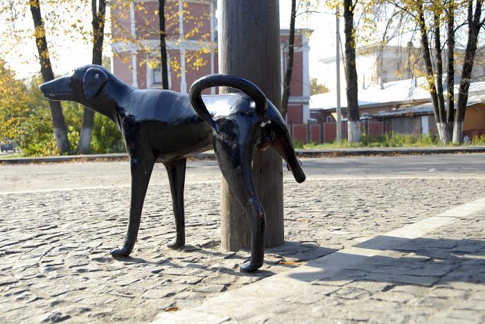 Выгул собак на мемориале героев ВОВ: «мы же убираем» не убедило местных жителей