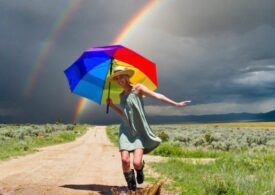 Активисты против здравого смысла. 7 цветов радуги будоражат новосибирский ВУЗ