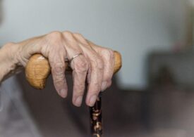 Судить нельзя помиловать: Бастрыкин требует наказать блогеров за «Истязание» бабушки с деменцией