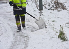 Актер Семен Сытник негодует из-за некачественной уборки снега в Петербурге