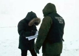 В Якутске будут работать бригады для отлова собак после гибели местной жительницы