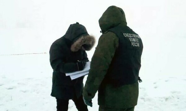 В Якутске будут работать бригады для отлова собак после гибели местной жительницы