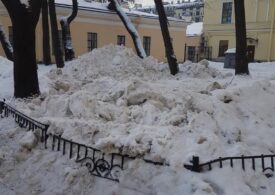 Визит Беглова в Пушкинский район Петербурга не изменил ситуацию со снегом