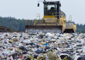 Жителям Приморского района угрожает свалка мусора