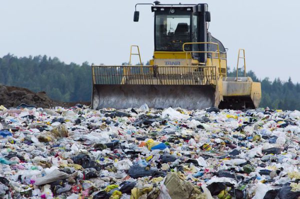 Жителям Приморского района угрожает свалка мусора