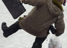 Журналист Павел Смоляк призвал «уповать на Бога» в вопросе уборки Петербурга от снега