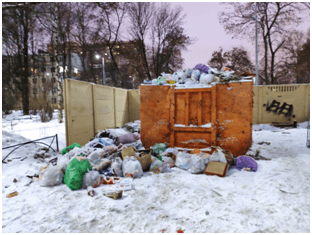 Жители Петербурга выставляют собственные мусорные баки из-за нехватки контейнеров