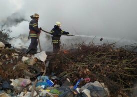 Причиной крупного пожара на мусорной площадке НЭО мог стать очередной поджог