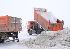 В Ломоносове и Красногвардейском районе убирали снег всего несколько спецмашин
