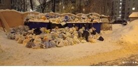 Новый подрядчик не справляется с вывозом мусора в Петербурге и отвозит его на незаконные свалки в соседнем регионе