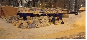 Новый подрядчик не справляется с вывозом мусора в Петербурге и отвозит его на незаконные свалки в соседнем регионе
