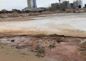 Экологи выясняют, откуда взялась красная пена на реке Казанке