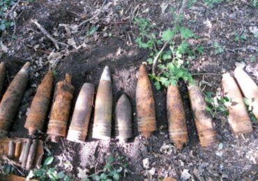 В Ленобласти нашли гранаты времён Великой Отечественной войны