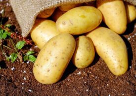 Врач-диетолог объяснила, как употребление картофеля помогает при гипертонии и болезнях сердца