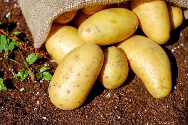 Врач-диетолог объяснила, как употребление картофеля помогает при гипертонии и болезнях сердца