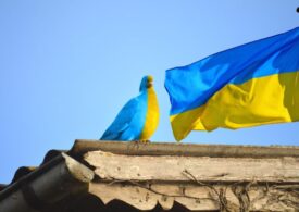 Украинские беженцы проявляют агрессию в Европе и России