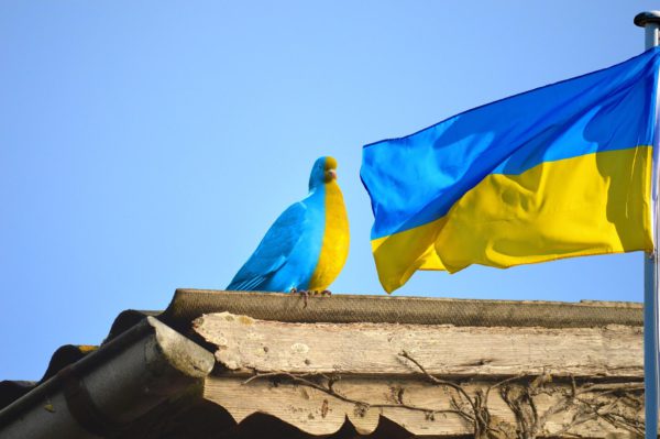 Украинские беженцы проявляют агрессию в Европе и России