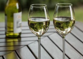 «Пить или не пить»: России есть чем заменить европейские вина