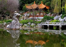 Территория чудес: один из крупнейших в мире японских садов появится в Краснодаре