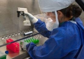 В Москве зарегистрированы пять случаев заболеваний новым видом коронавируса «Кентавр»