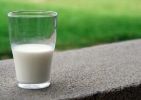 На вредных производствах поменяются правила выдачи молочных продуктов