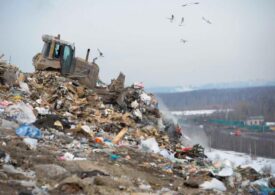 Реновация «по-бегловски» в рамках закона КРТ грозит Петербургу экологической катастрофой