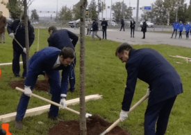 Участники ПМГФ-2022 посадили рябину у «Экспофорума»