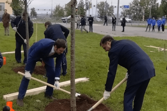 Участники ПМГФ-2022 посадили рябину у «Экспофорума»