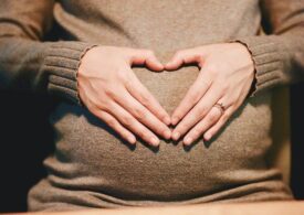 Пособие для беременных в России предлагают увеличить до прожиточного минимума