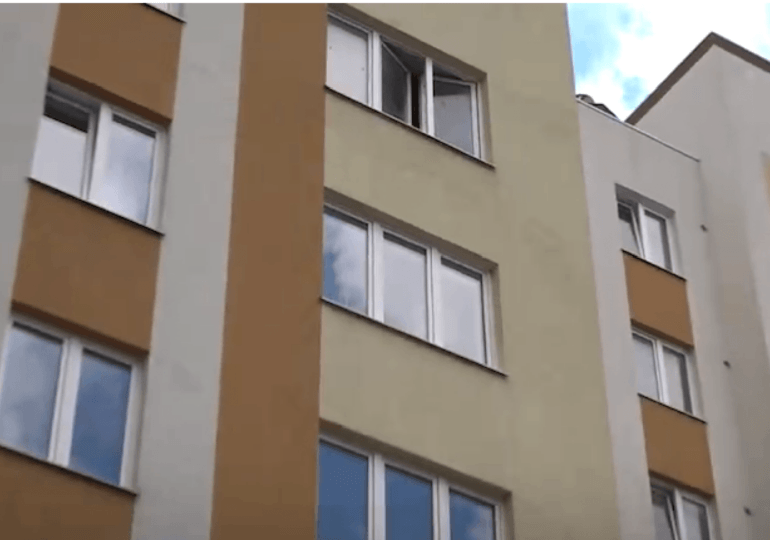 Пасека в многоэтажке держит в страхе жителей Калининграда