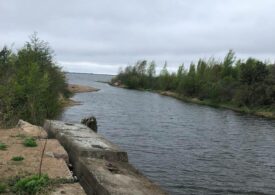 Виновник загрязнения вод Финского залива привлечён к административной ответственности