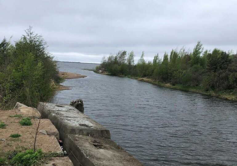 Виновник загрязнения вод Финского залива привлечён к административной ответственности