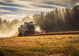 В России достигнуты исторические показатели по сбору зерновых культур