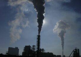 Предприятие «Юником» в Ленобласти привлекли к ответственности за вредные выбросы в атмосферу