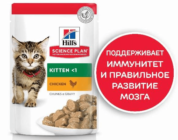 Влажный корм для кошек