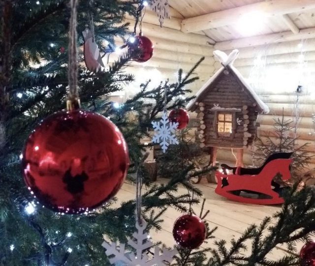 Дом Деда Мороза открылся в музее «Малые Корелы» Архангельской области