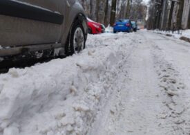 Метель в субботу обнажила проблемы снегоуборки в Петербурге