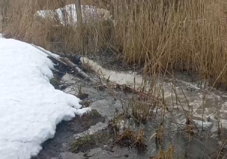 Росприроднадзор организовал проверку по жалобе на загрязнение реки Сузна в Ленобласти