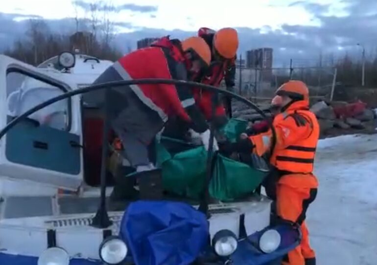 Сотрудники МЧС Петербурга спасли собаку с отколовшейся льдины в Финском заливе
