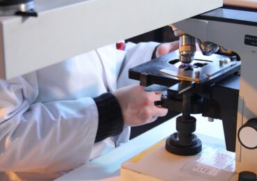 Учёные Новосибирска изучают влияние белка когезина на жизнеспособность опухолевых клеток