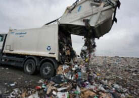 Смольный провалил проведение мусорной реформы из-за «эффективной системы» НЭО – СМИ