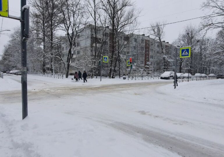 Петербуржцы назвали беспределом чиновников очередной «снежный коллапс» в городе