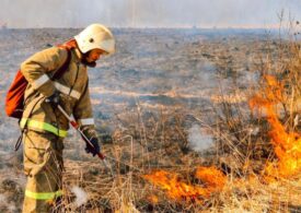 В Забайкалье 6 подростков обвиняются в ландшафтных пожарах
