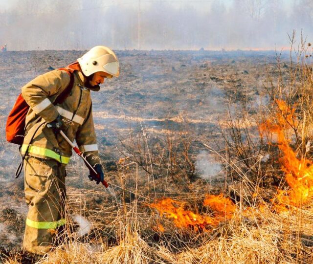 В Забайкалье 6 подростков обвиняются в ландшафтных пожарах