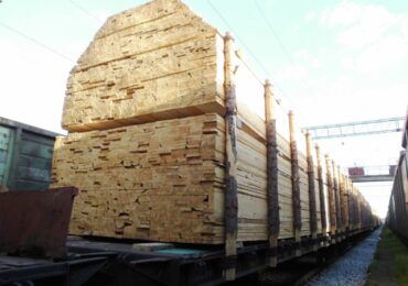 В Приангарье раскрыт канал контрабанды древесины на 150 млн рублей