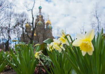 Губернатор Беглов не пришел убирать мусор вместе с петербуржцами на «Добрый субботник»