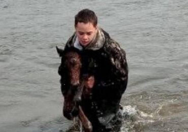 В Бурятии подросток спас жеребёнка из бурных вод реки Иркут