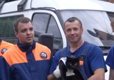 Кот Беляш вернулся к аварийно-спасательной службе в Вологде