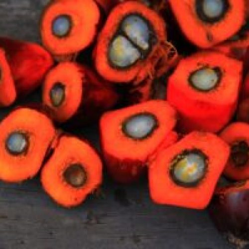пальмовое масло